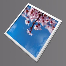 Stropní led panel  s motivem větviček růžové třešně (bílý rámeček)