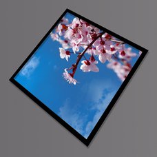 Stropní led panel  s motivem větviček růžové třešně (černý rámeček)