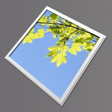 Stropní led panel  s motivem javorových listů (bílý rámeček)