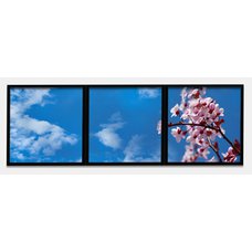 Sada 3 led stropních panelů s motivem větviček růžové třešně (černý rámeček)